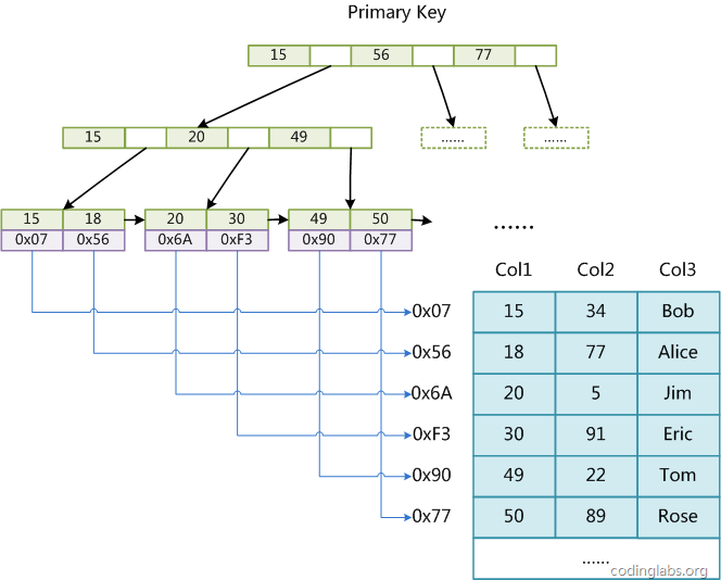mysql1