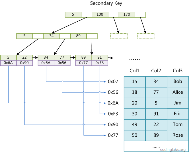 mysql2