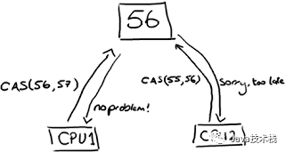 cas1